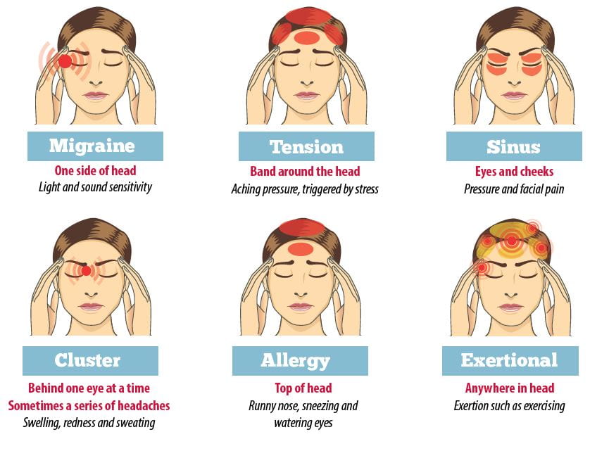 the-science-behind-headaches-ms-bloom-s-science-room